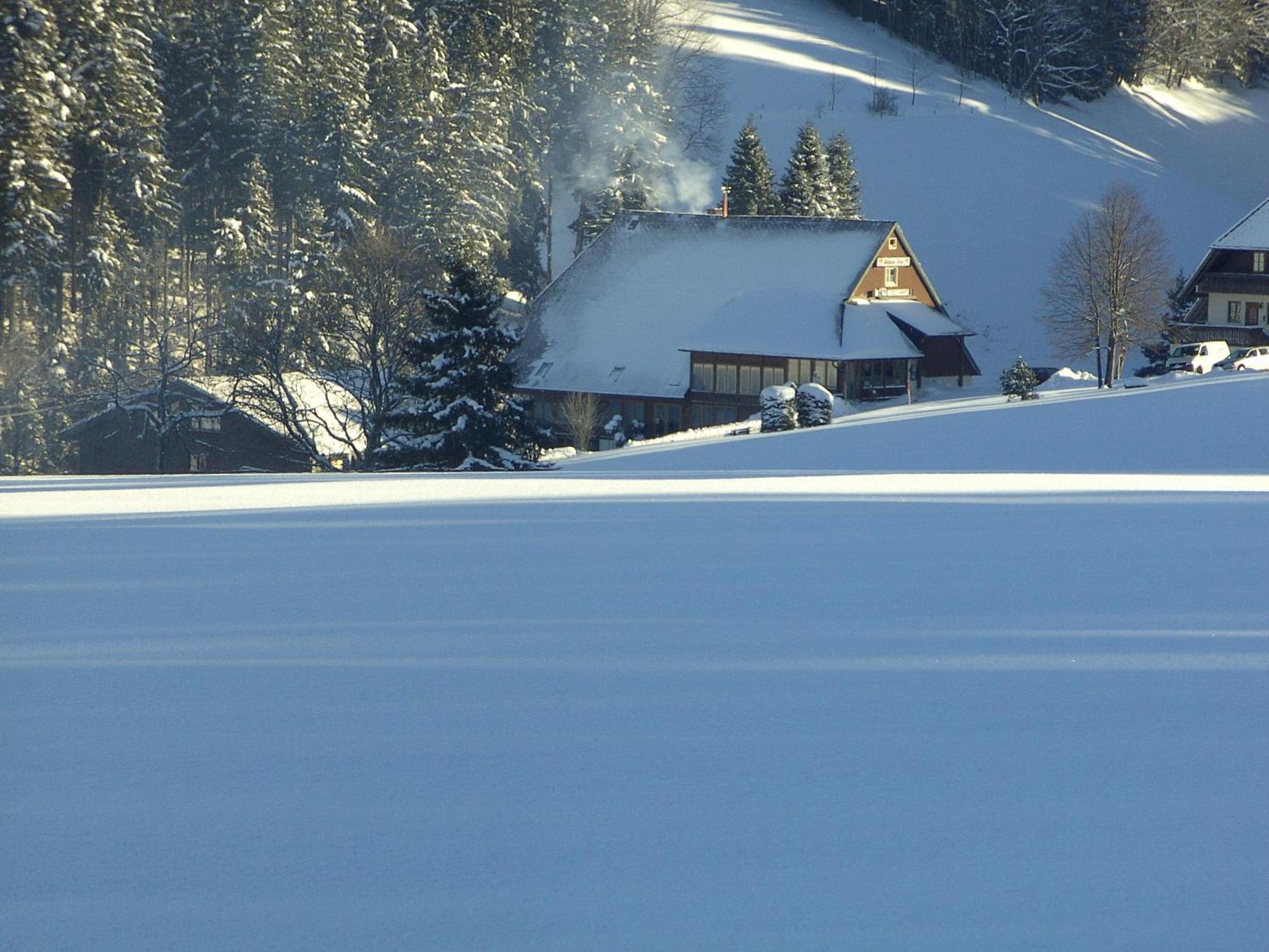 Thaelerhaeusle Hotel Furtwangen Eksteriør billede