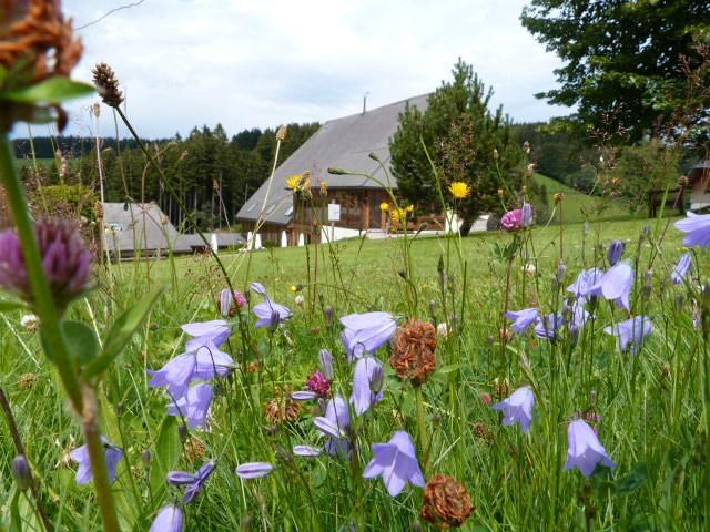 Thaelerhaeusle Hotel Furtwangen Eksteriør billede
